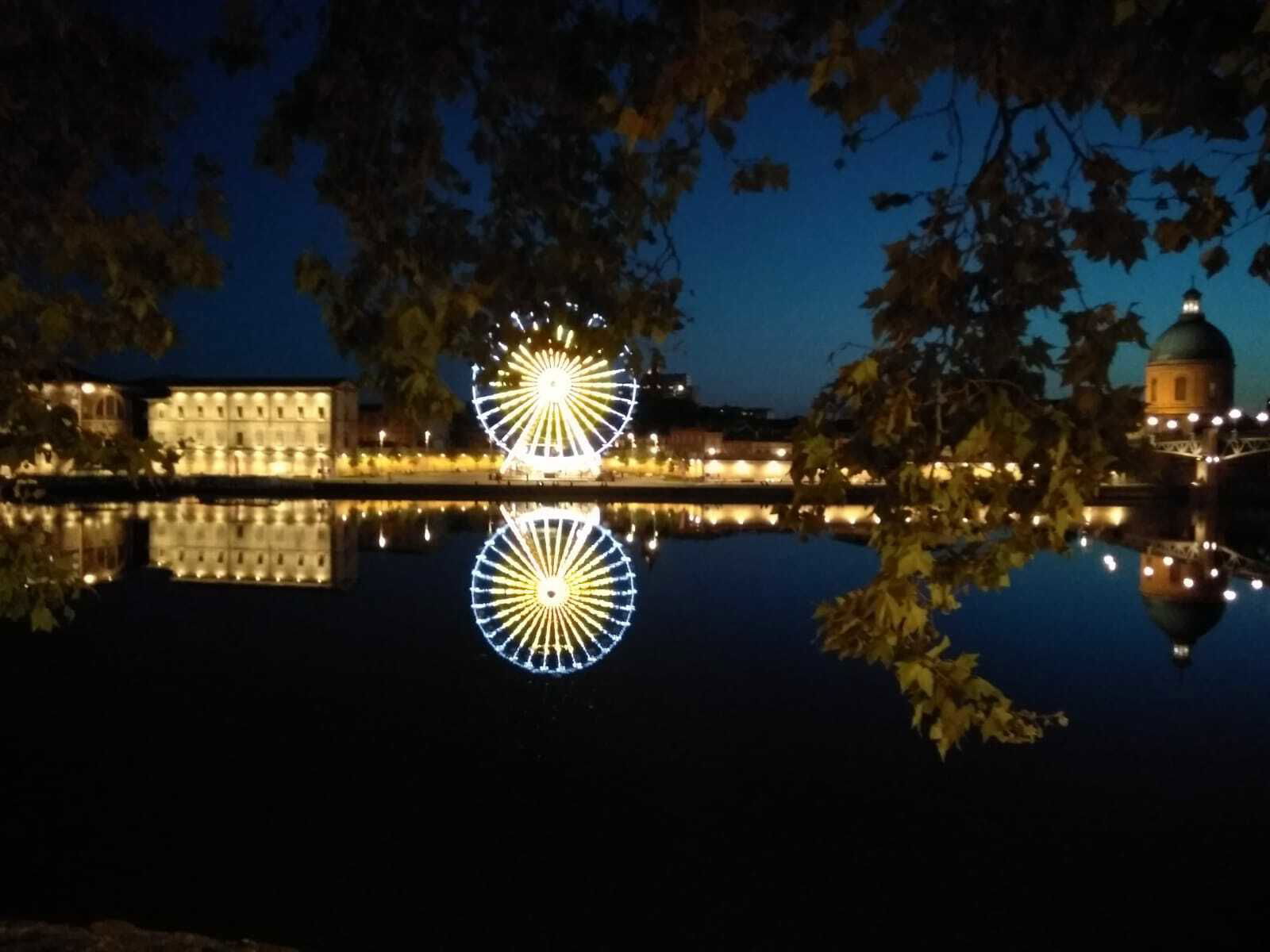 Famiglia Toulouse 35658