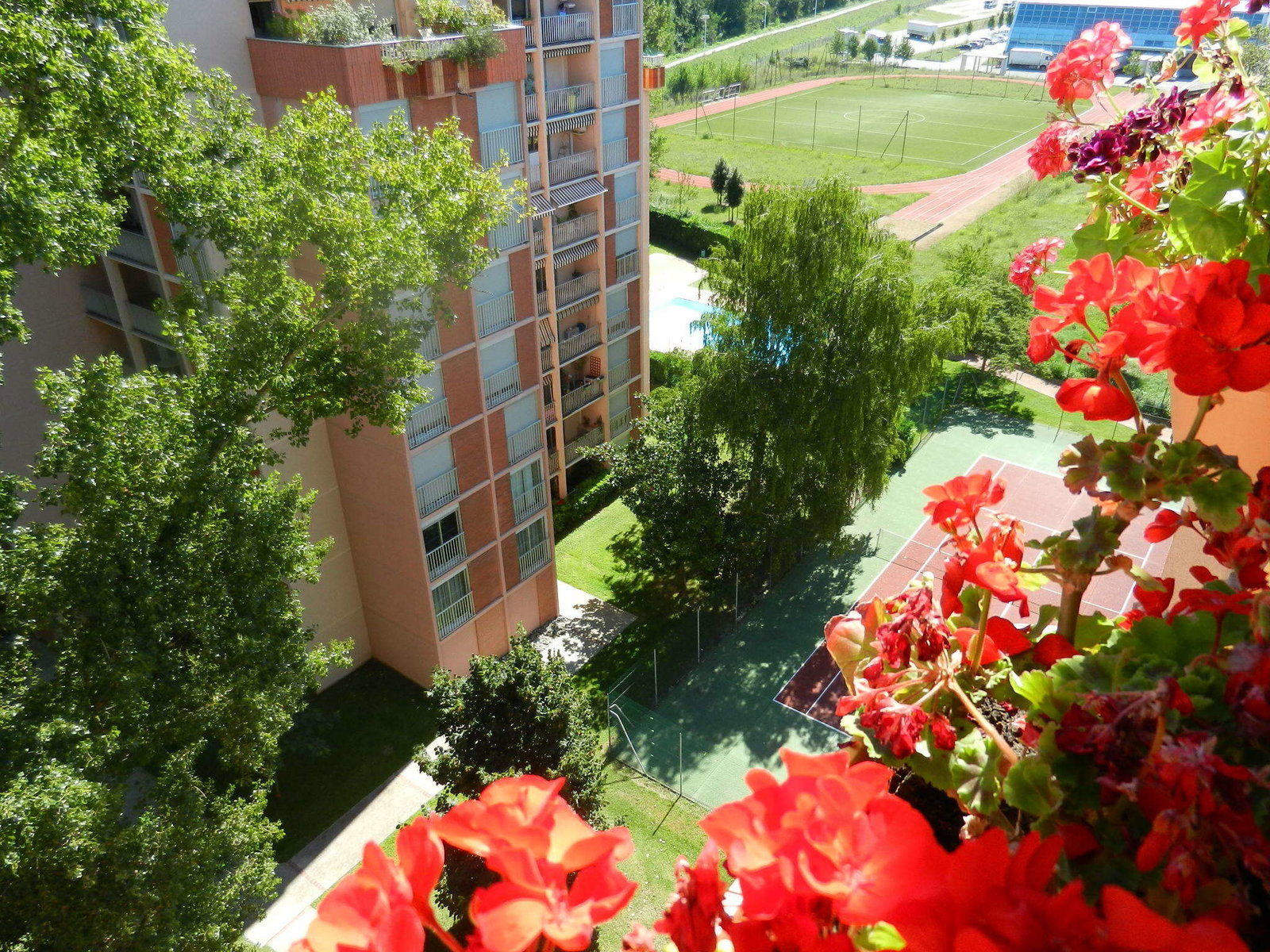 Famiglia Toulouse 35658