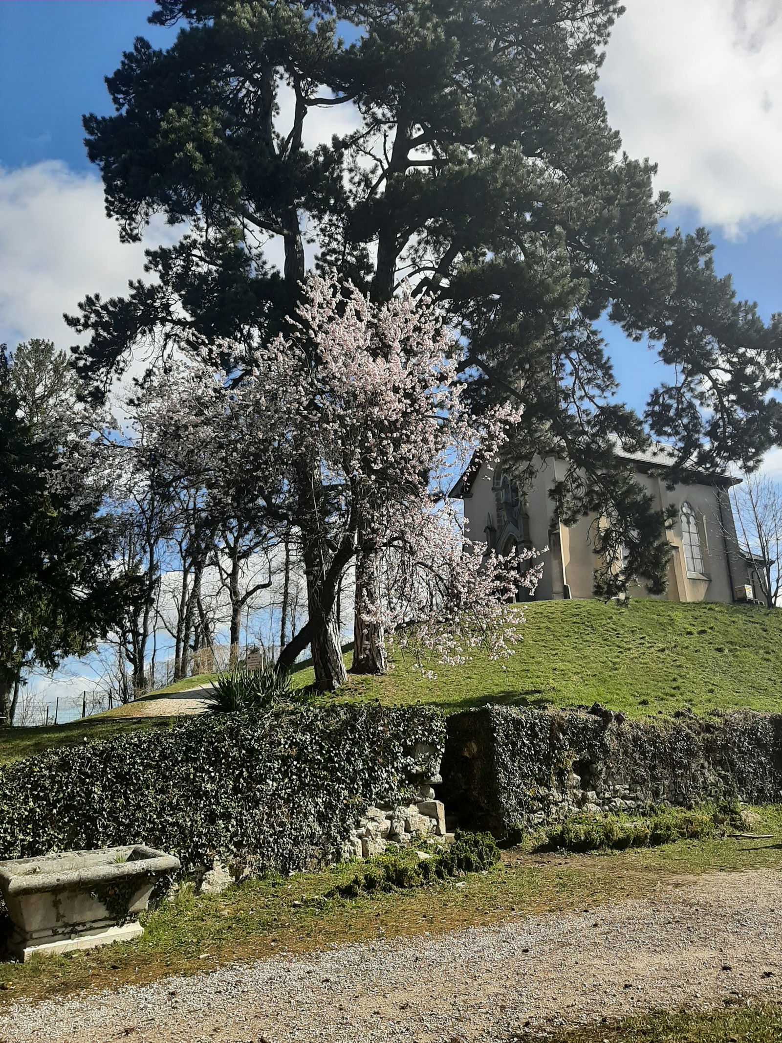 Collocazione Annemasse 250030