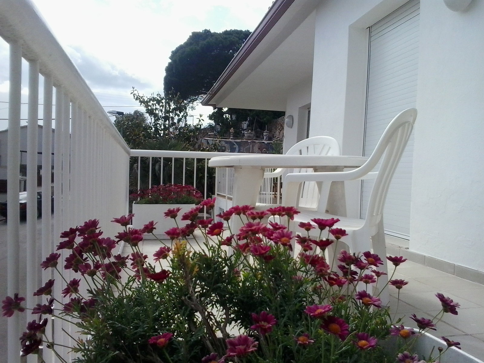 Famiglia Terrafortuna 158226