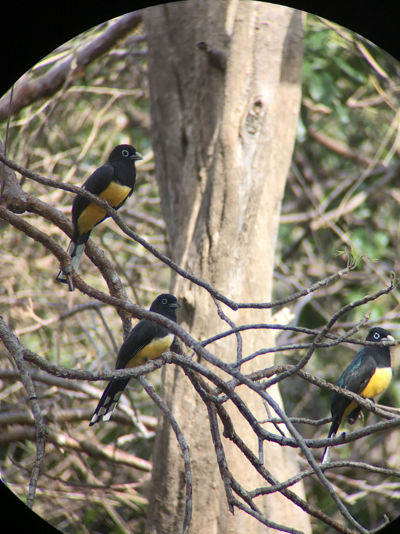 Camere Per Gli Ospiti Guanacaste Province 187343