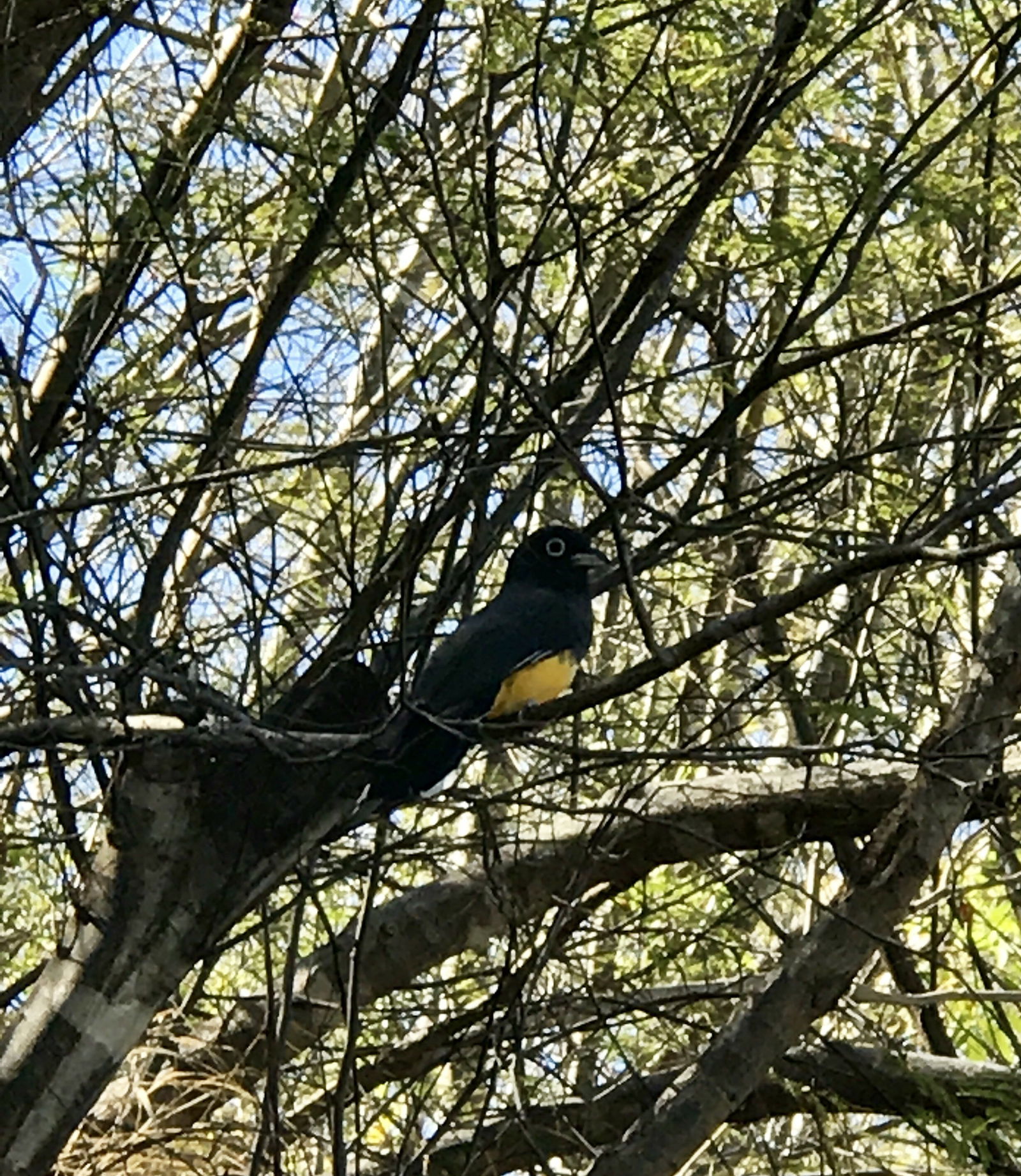 Camere Per Gli Ospiti Guanacaste Province 187343