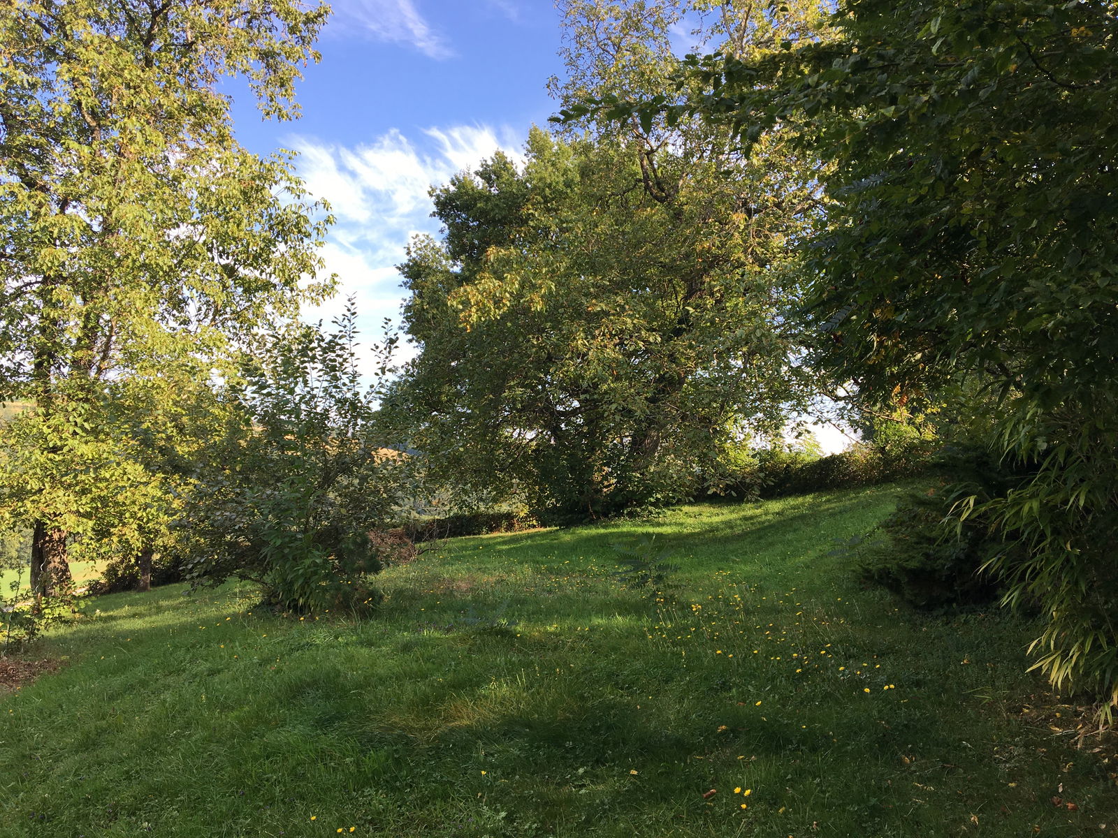 Famiglia Thusy 193495