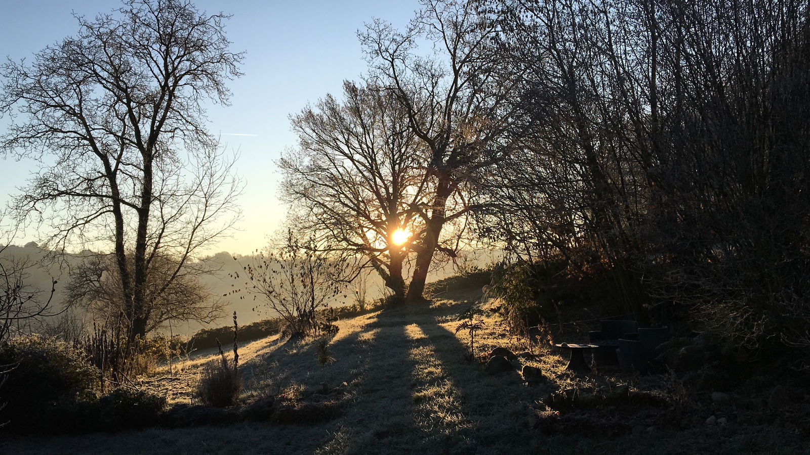 Famiglia Thusy 223884