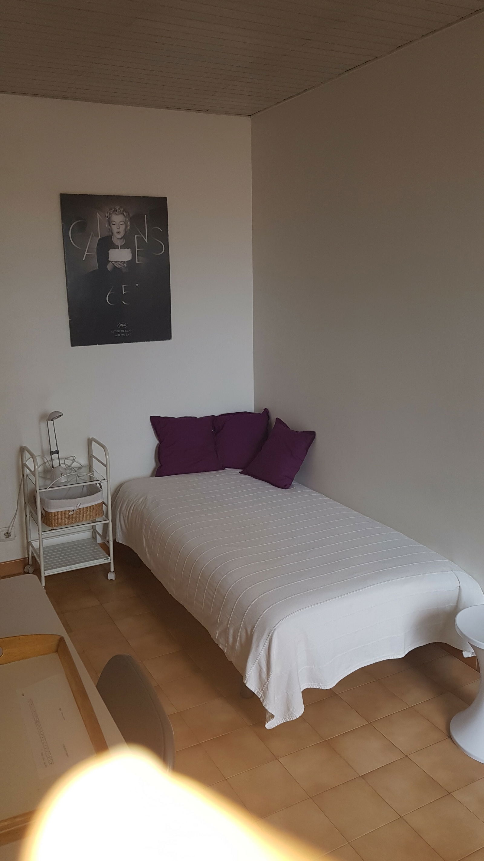 Collocazione Nice 255681