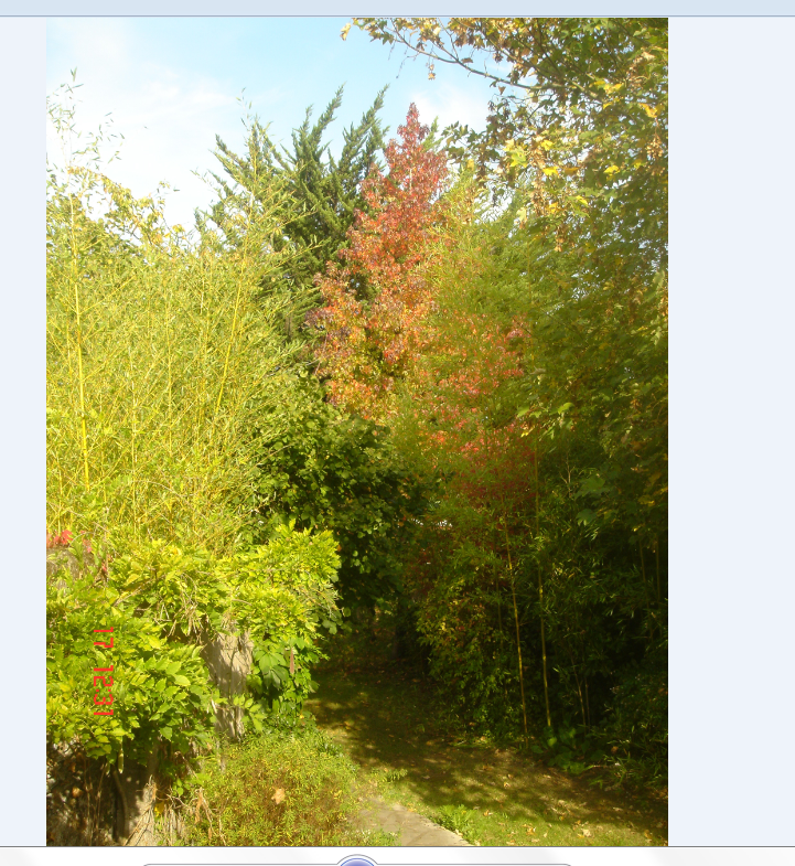 Famiglia Vertou 237634