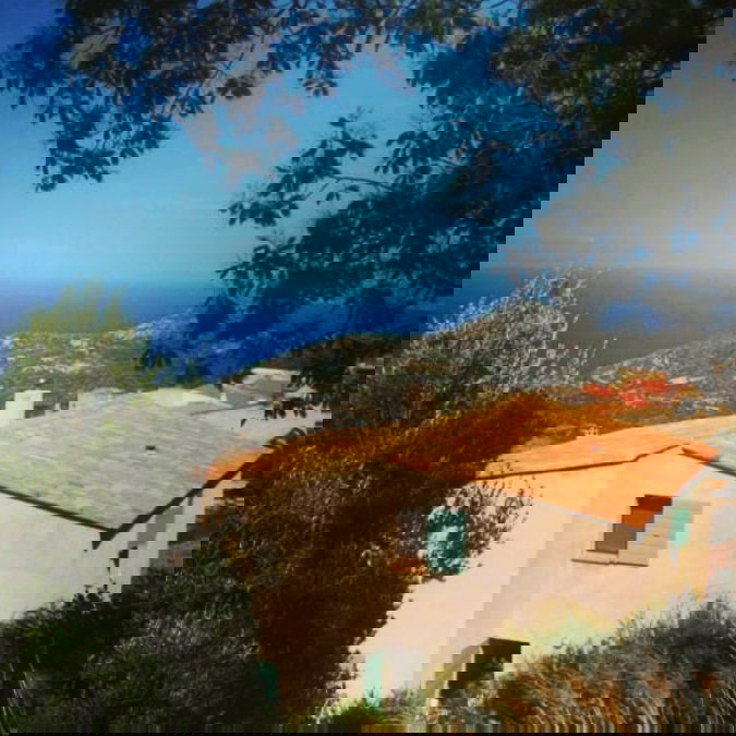 Famiglia Monticello 268311