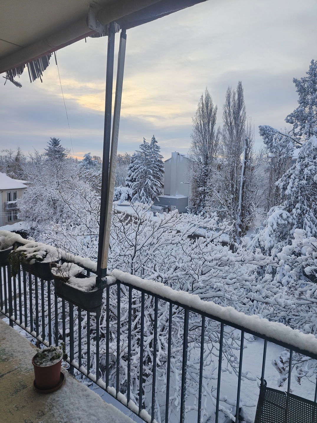 Famiglia Illzach 201411