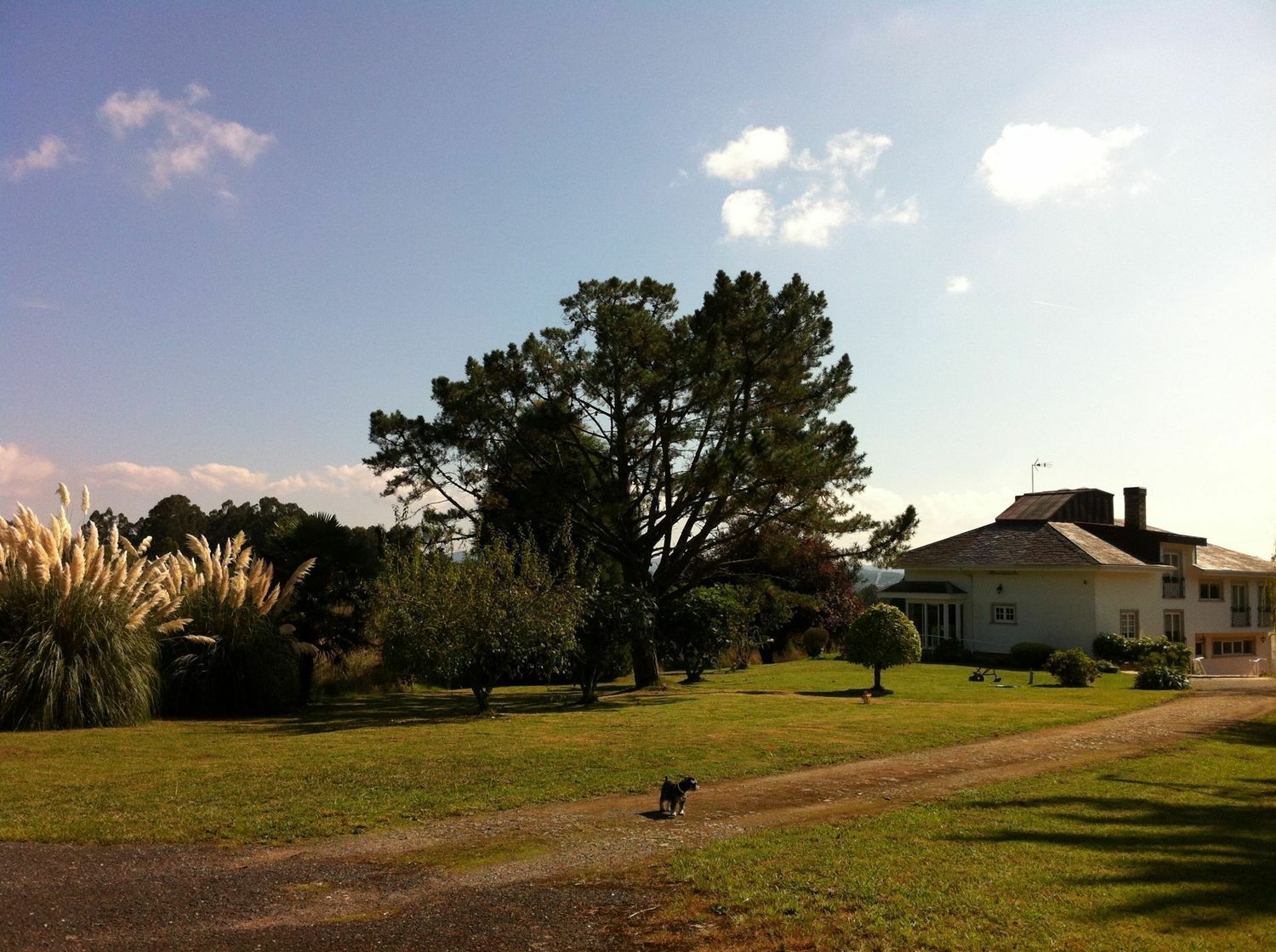 Famiglia Bergondo 213284