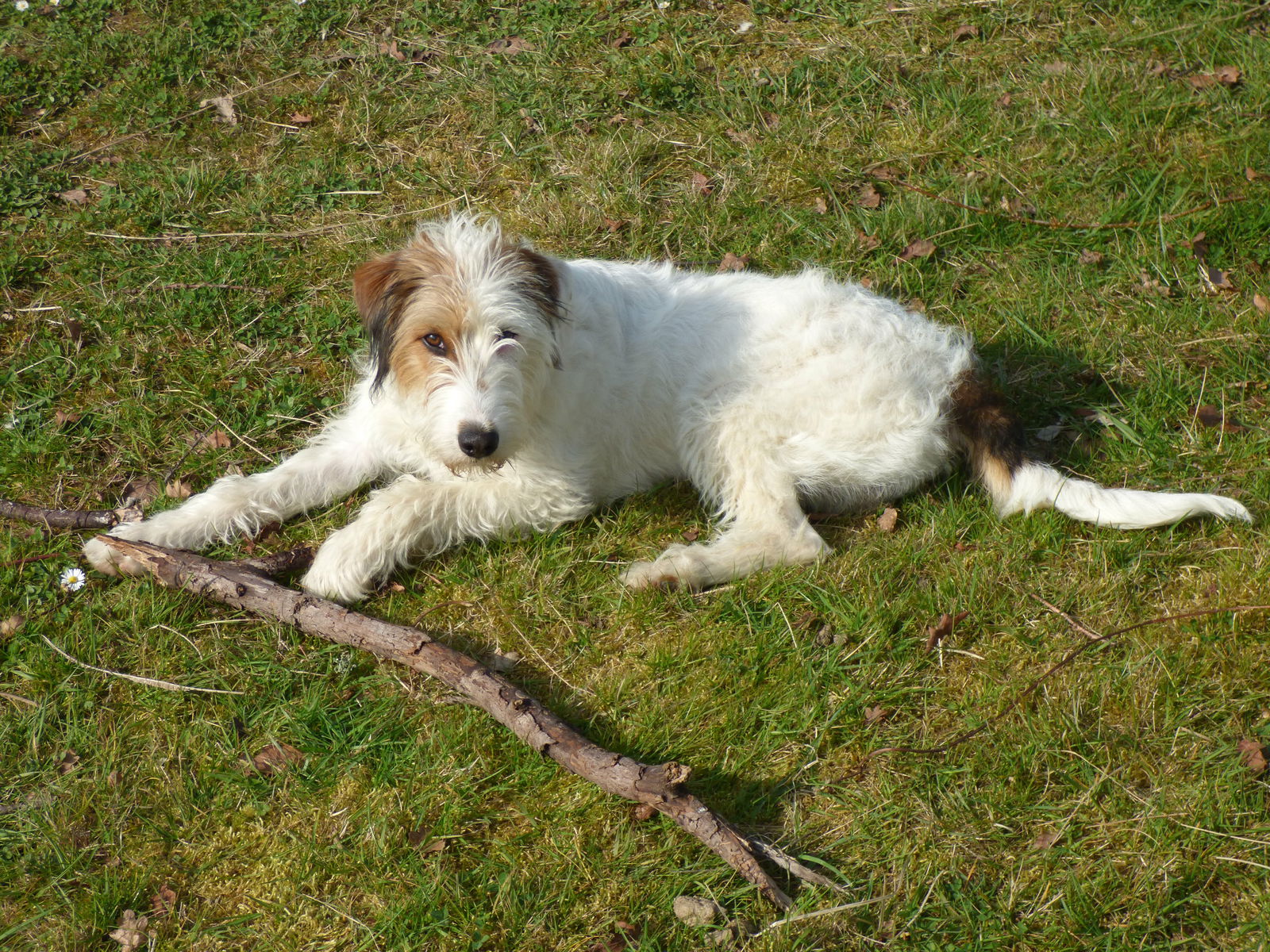 Camere Per Gli Ospiti Occitanie 171551