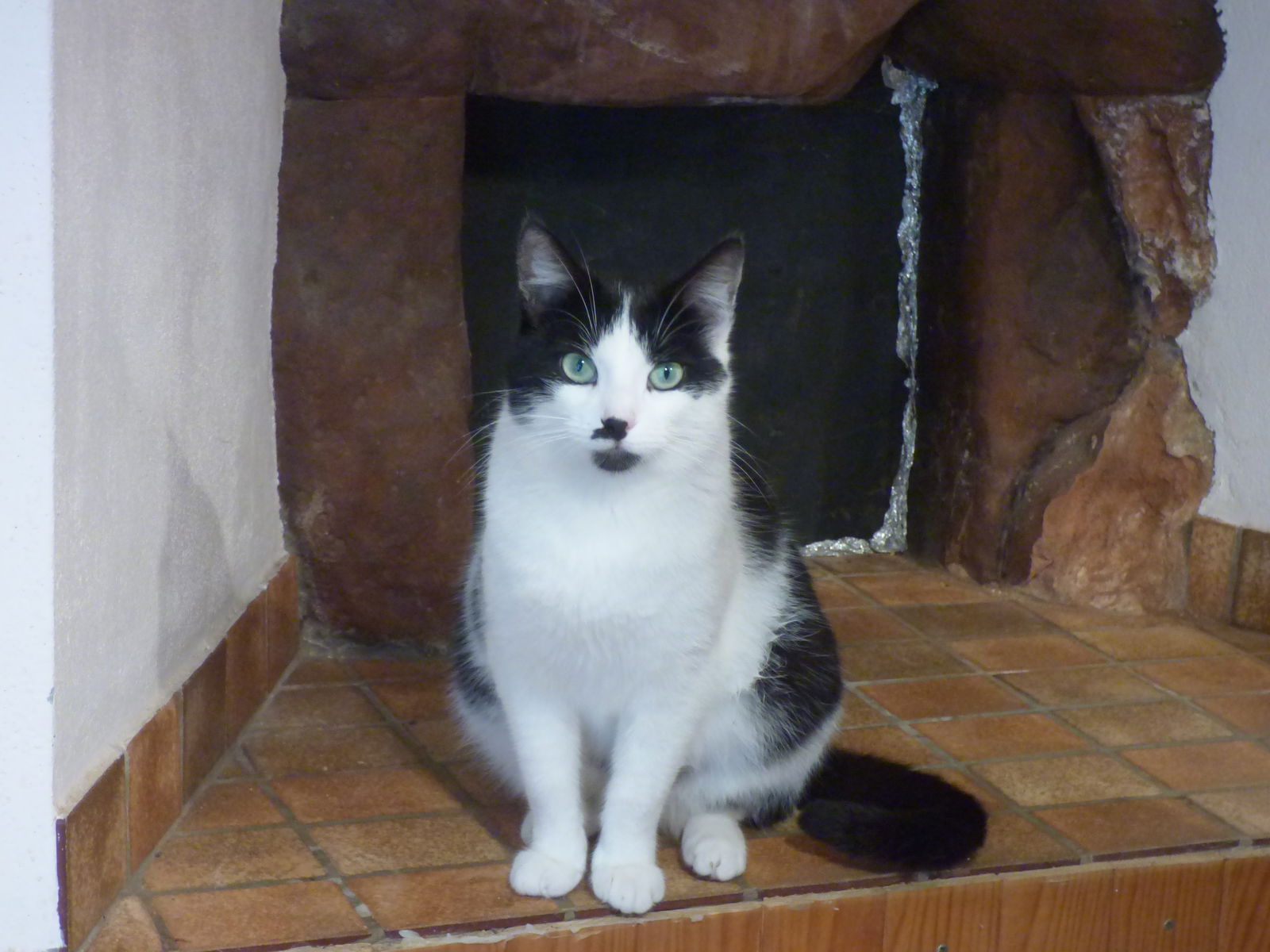 Camere Per Gli Ospiti Occitanie 171551