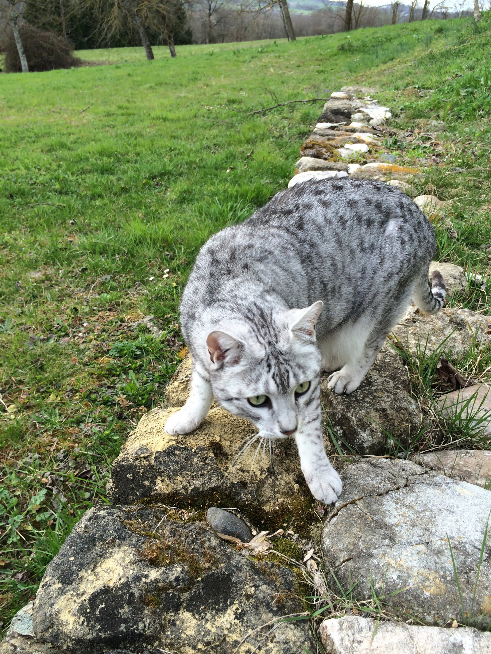 Camere Per Gli Ospiti Thusy 177873