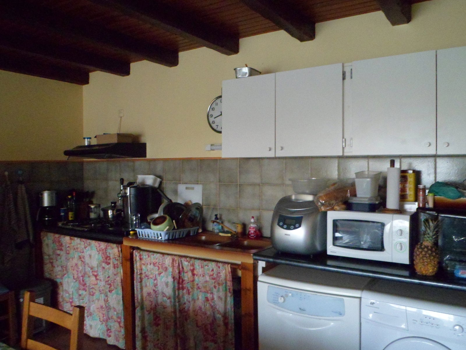 Famiglia Saint-Ciers-d'Abzac 20716