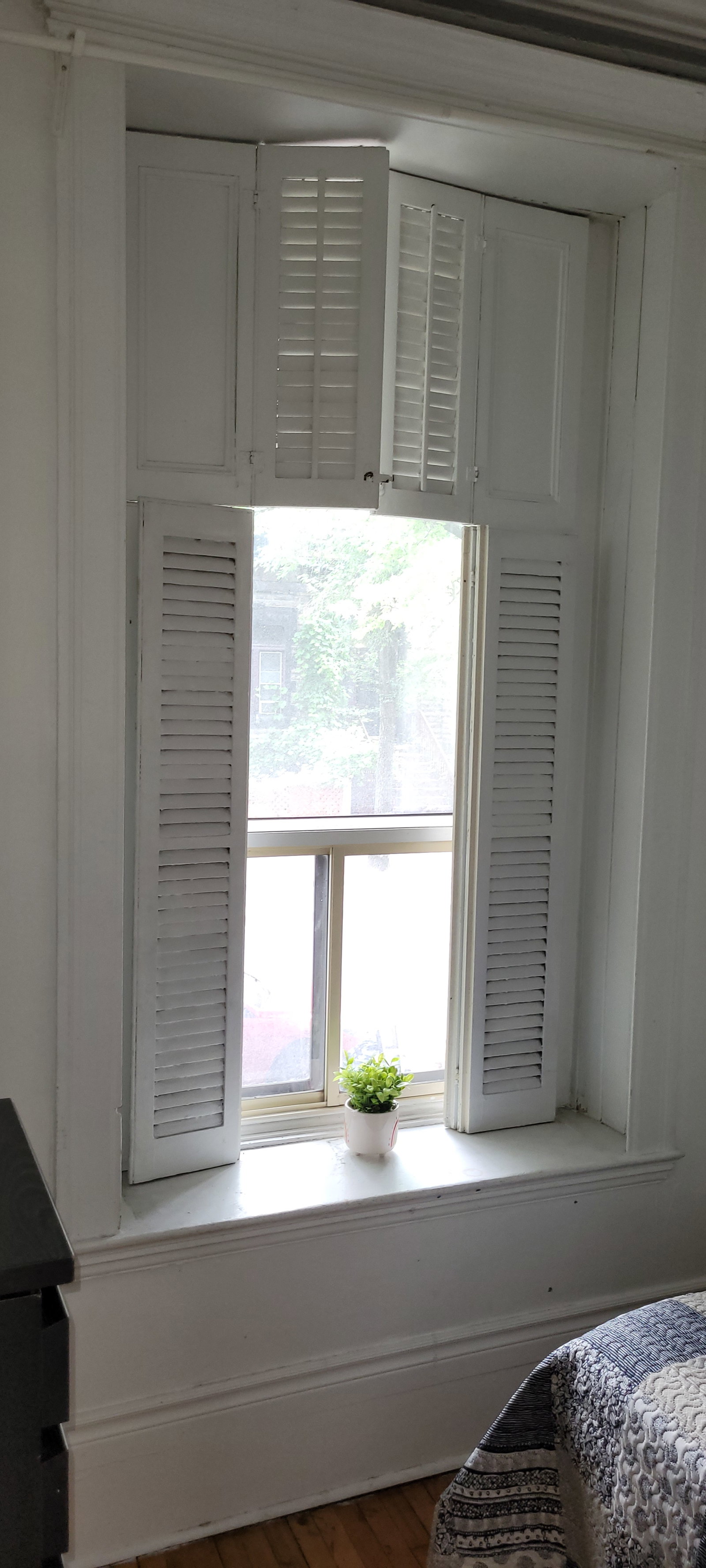 Alloggio Condiviso Montreal 648307