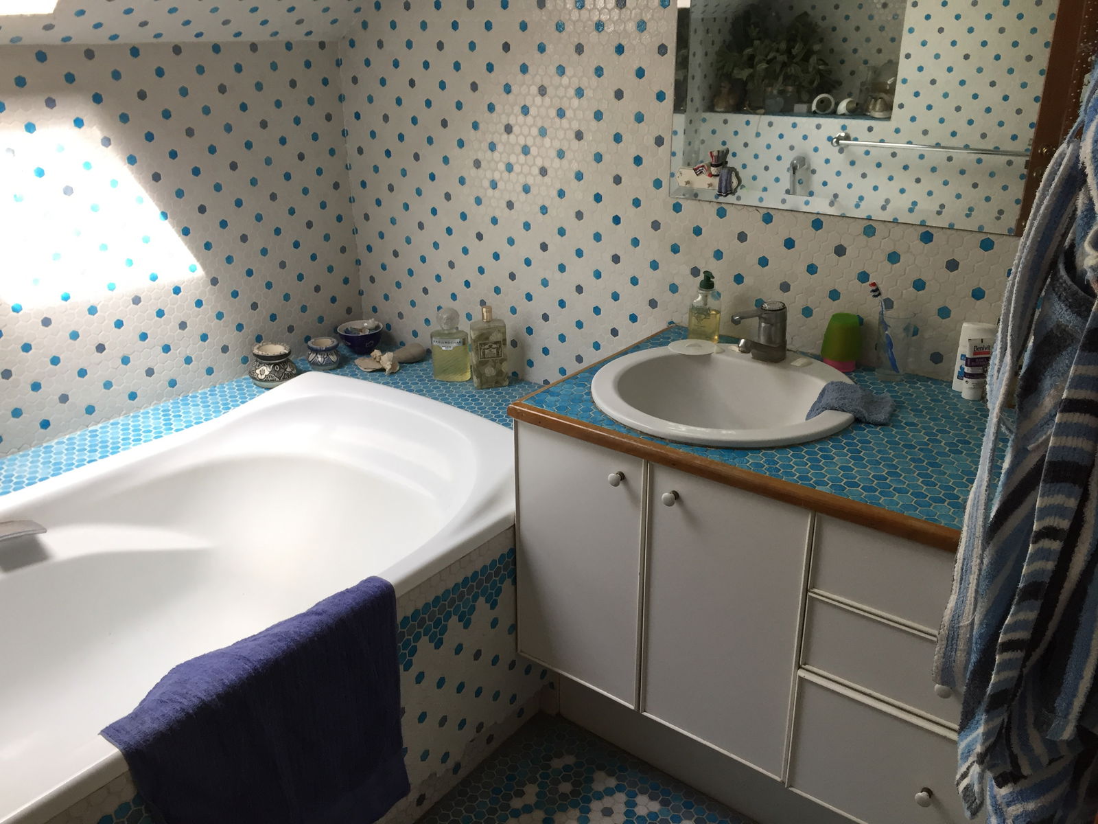 Famiglia Saint-Rémy-lès-Chevreuse 176164