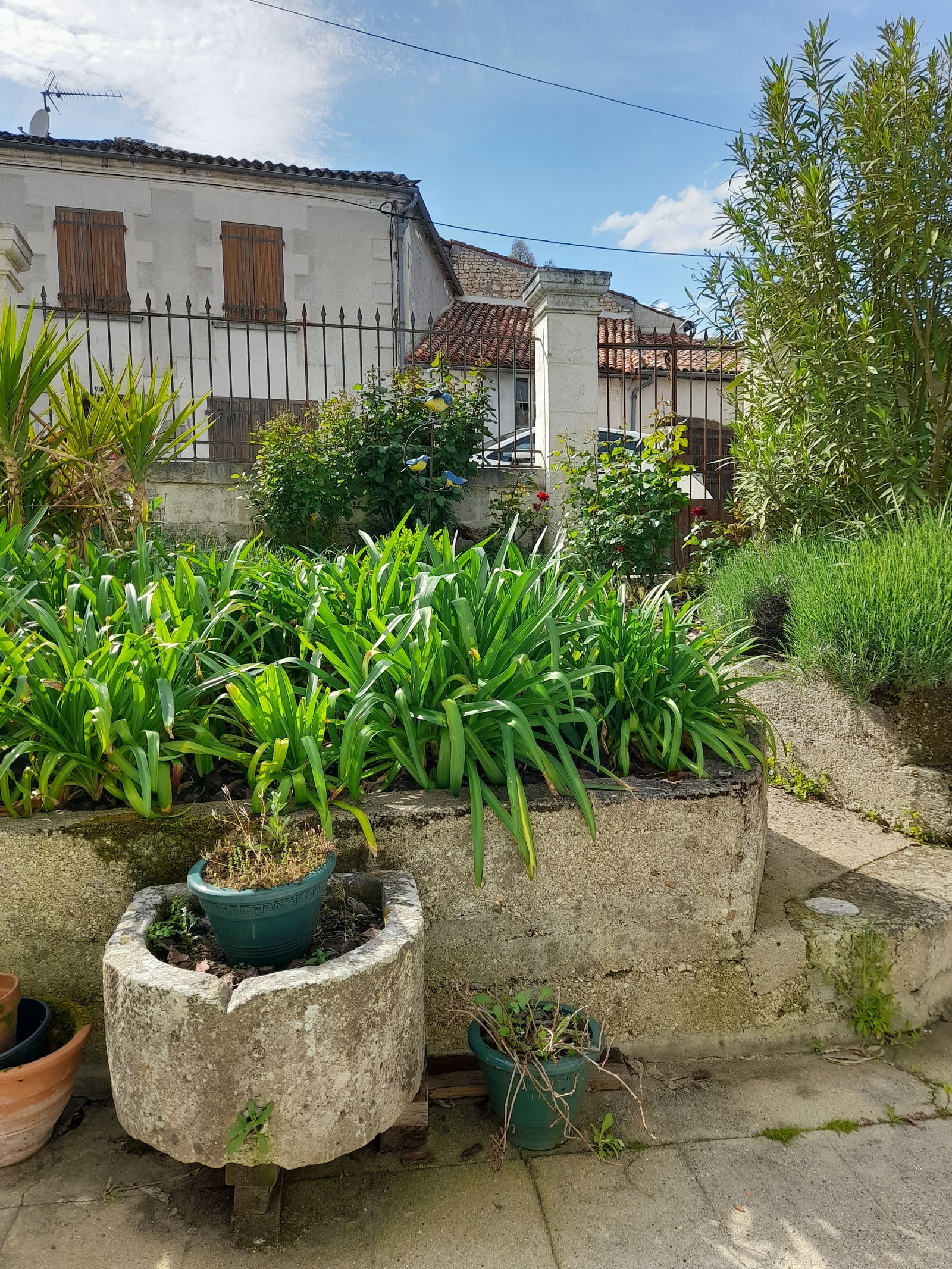 Collocazione Archiac 266131