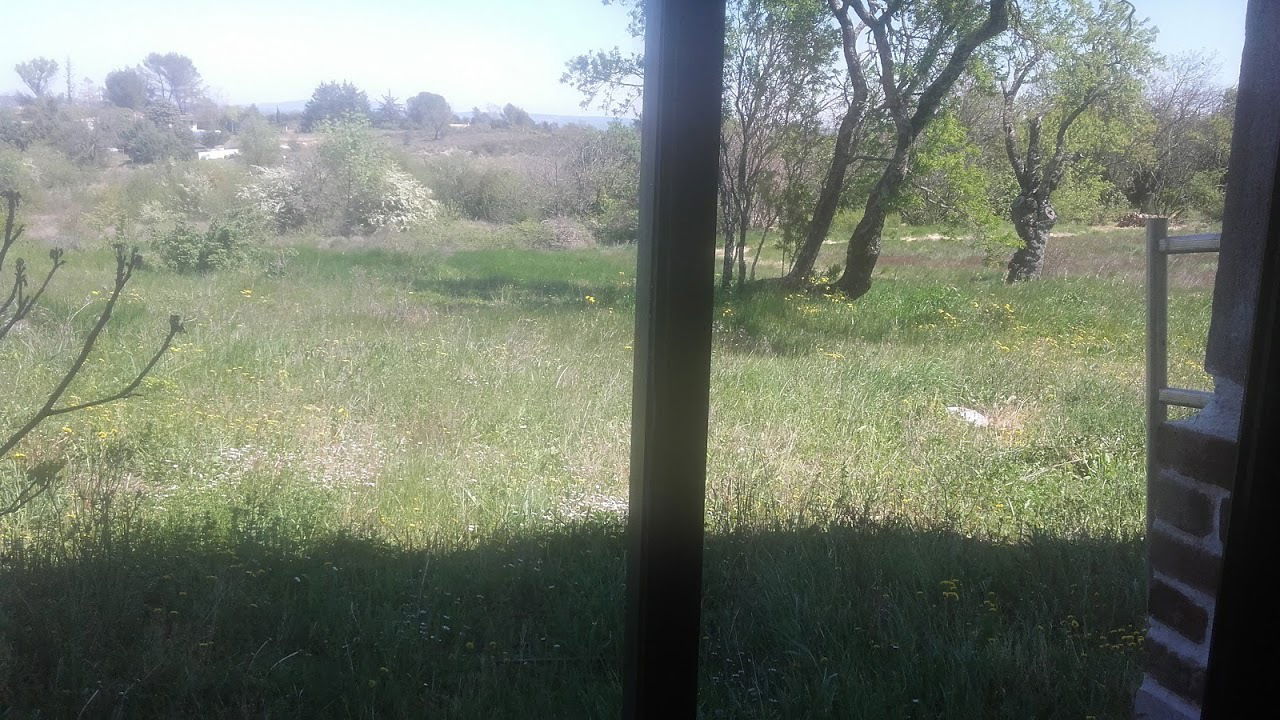 Famiglia Les Mages 248409