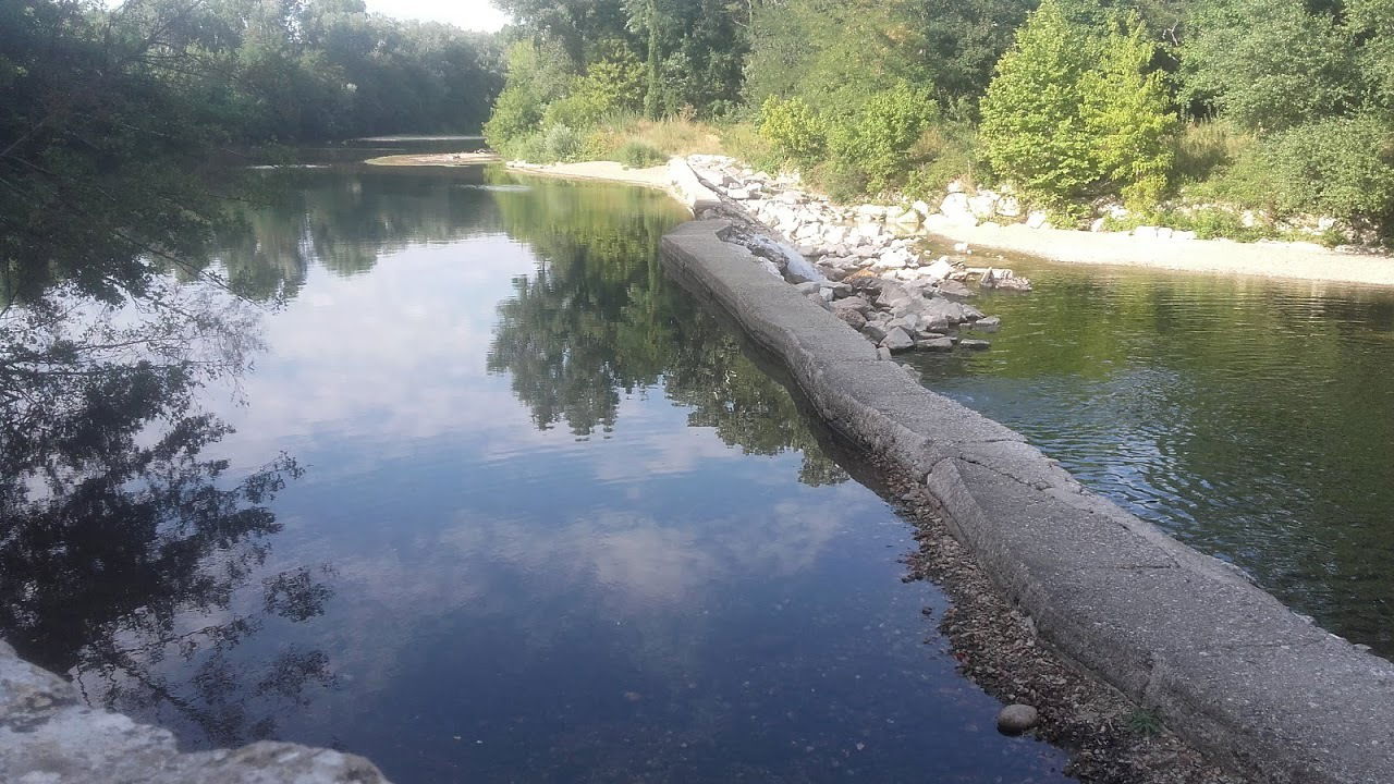 Famiglia Les Mages 248409