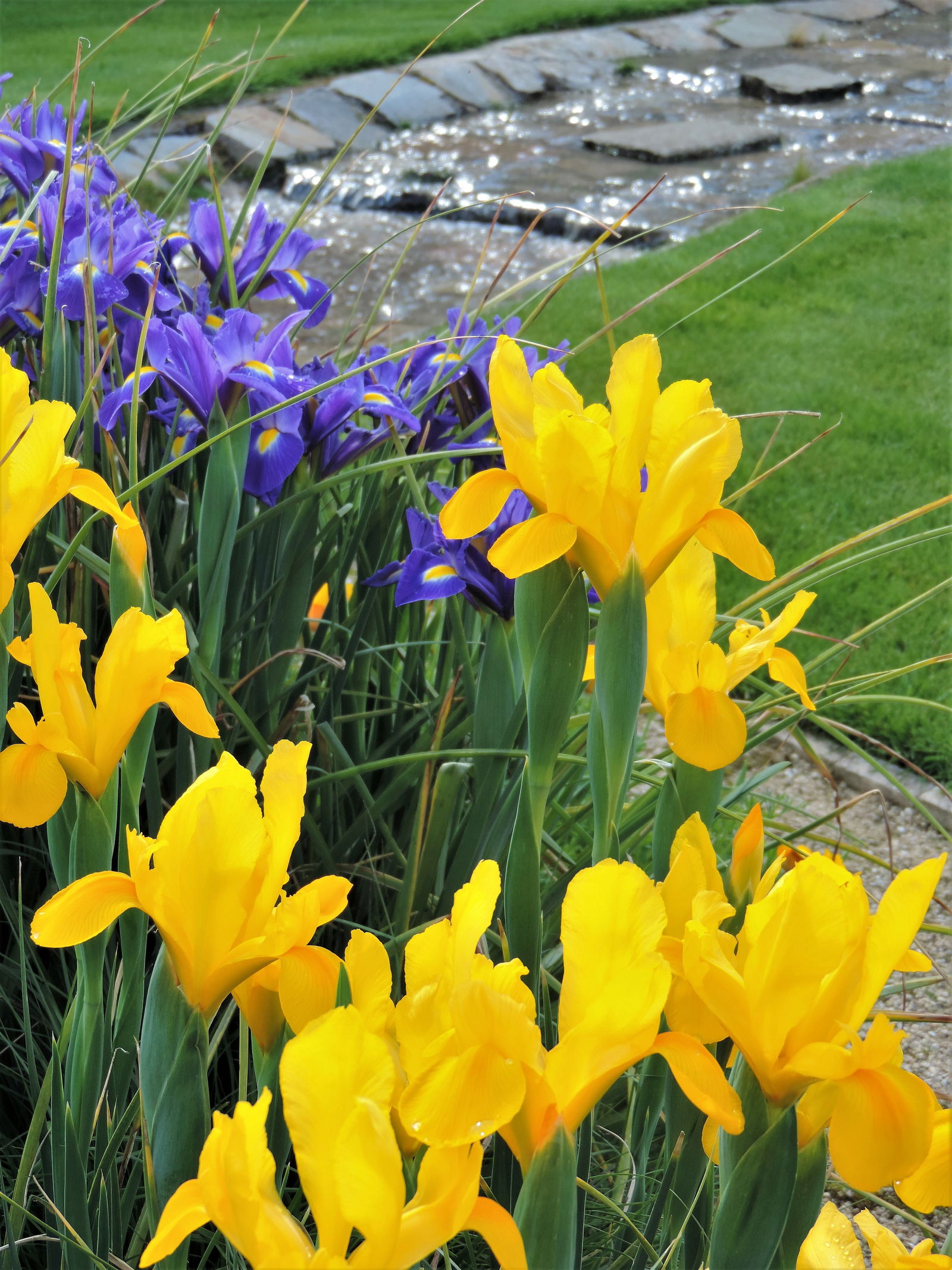 Famiglia Betton 244878