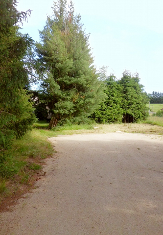 Camere Per Gli Ospiti Chomelix 37211