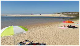 Famiglia Montes 147465