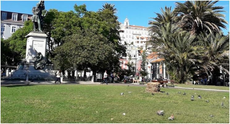 Famiglia Montes 147465