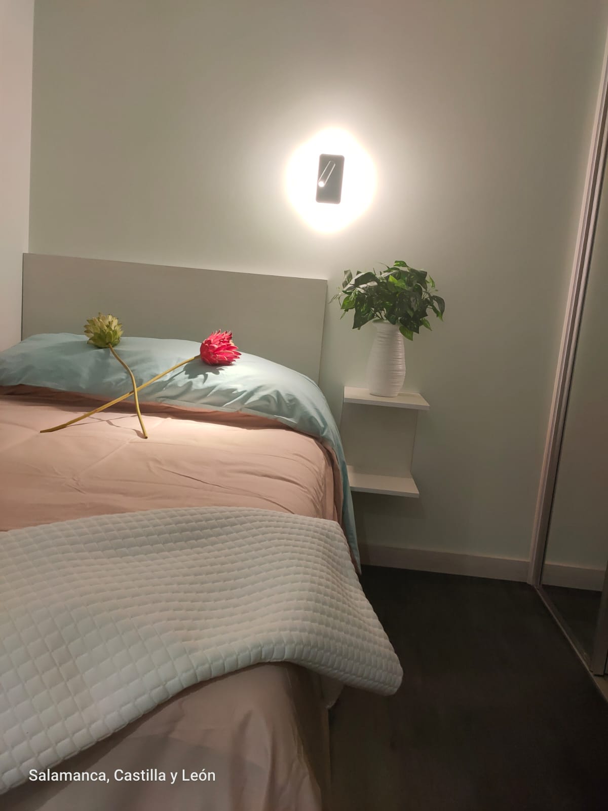 Collocazione Salamanca 266719