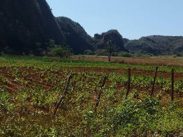 Roomlala | Camere In Affitto A Viñales