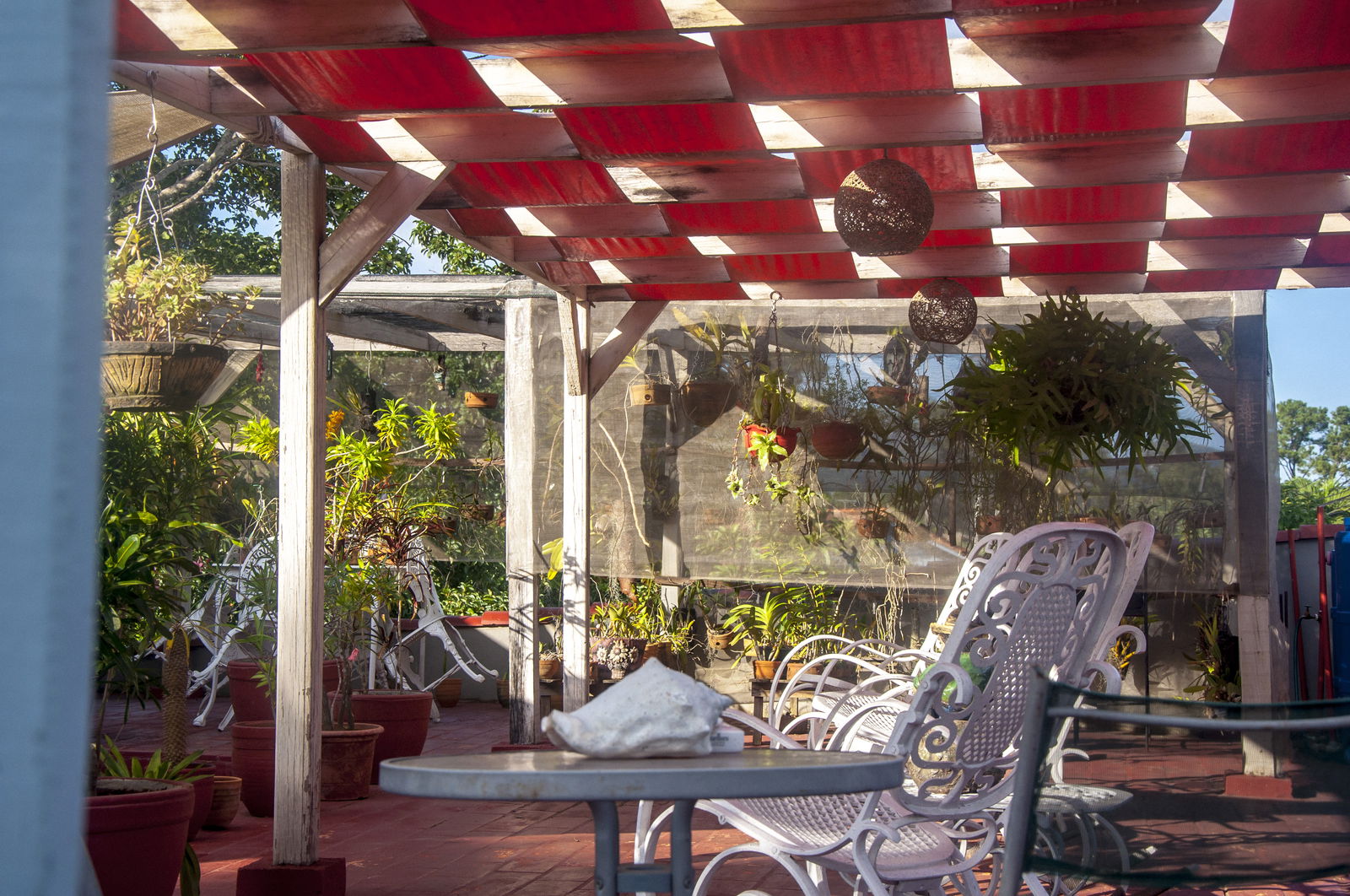 Famiglia Viñales 224749