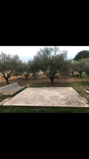 Famiglia Saint-Julien 266767