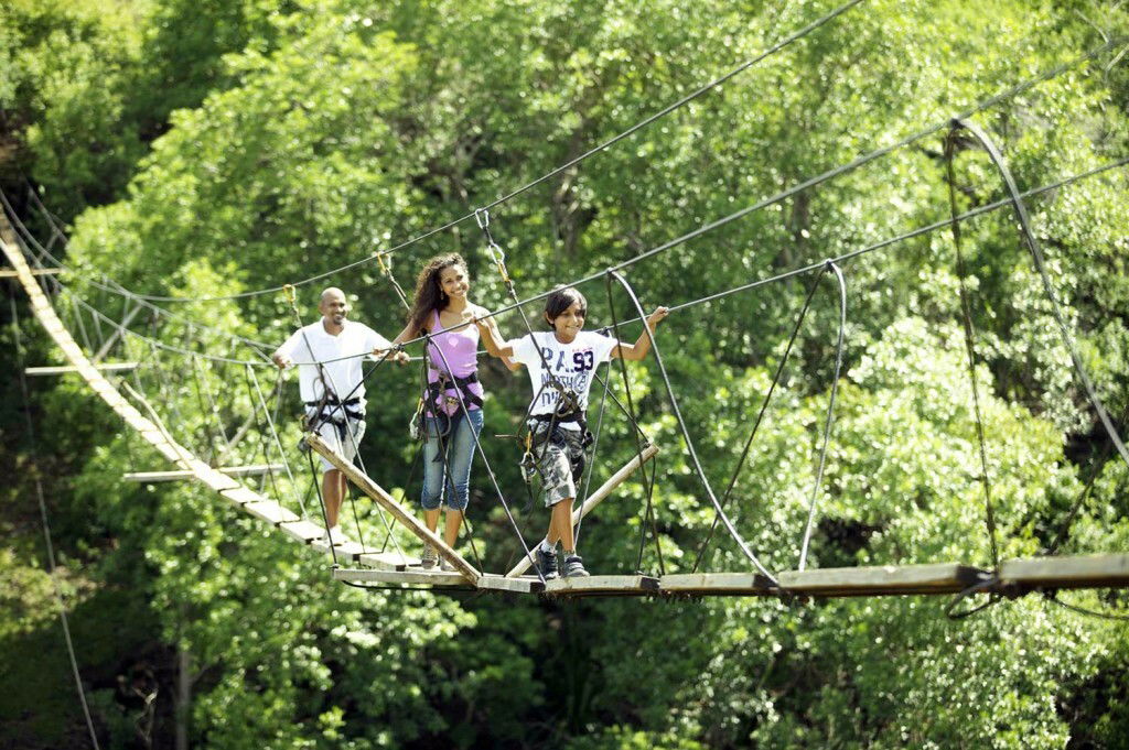 Tutta La Casa Bambous 1427