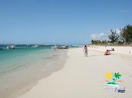 Tutta La Casa Bambous 1427