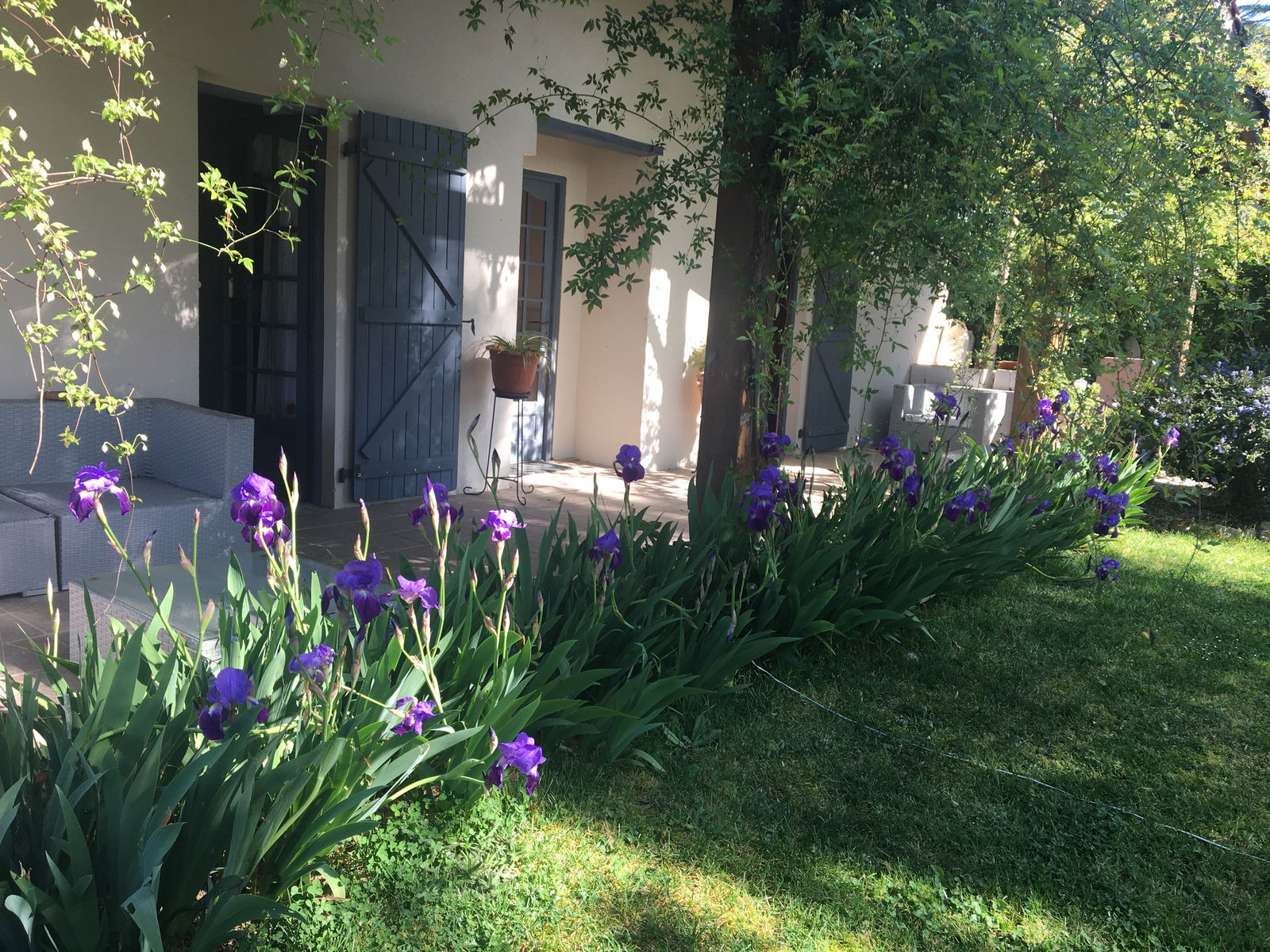 Famiglia Monbahus 30249