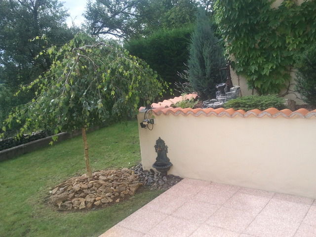 Famiglia Nancy 40973