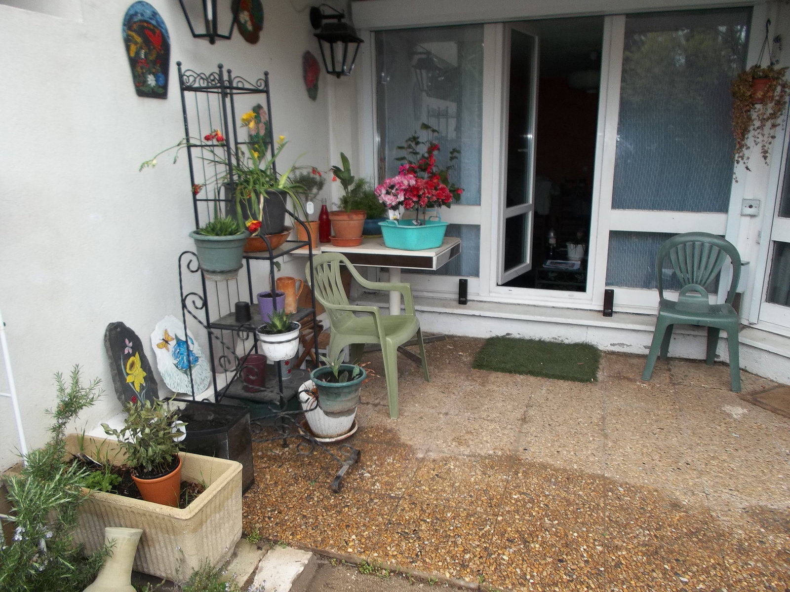 Famiglia Montpellier 16001