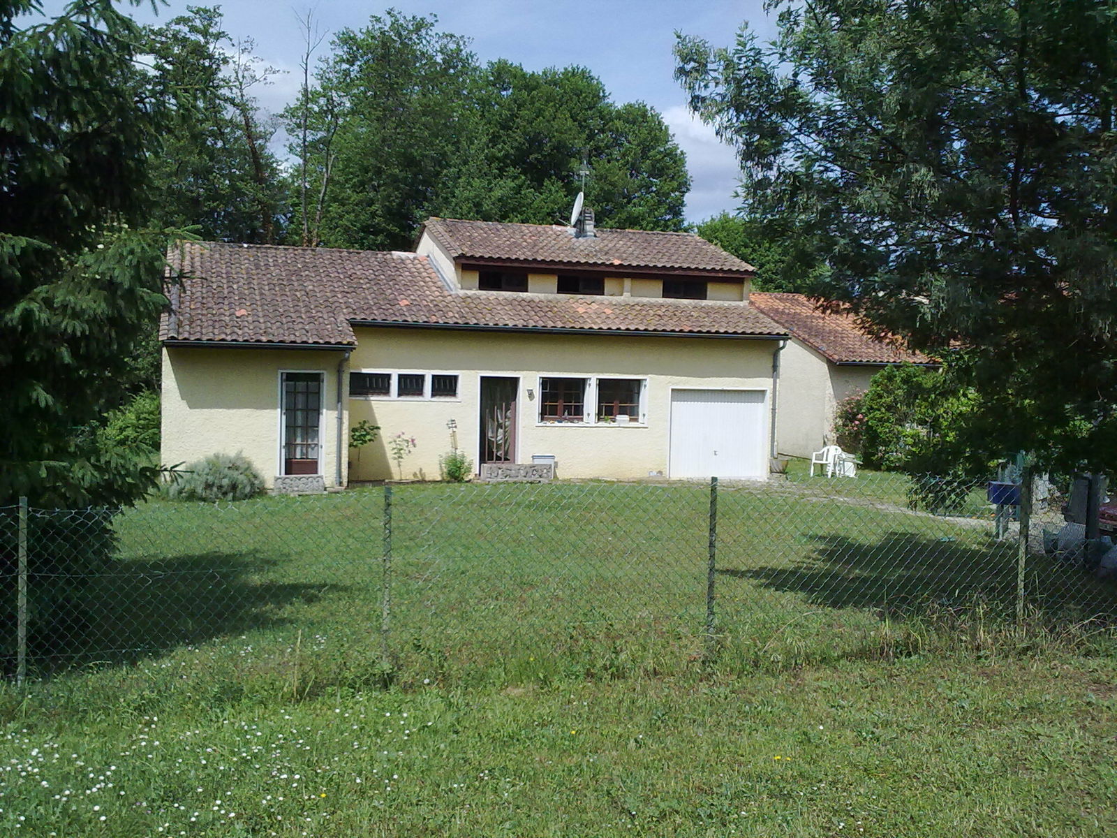 Famiglia Champsac 134096