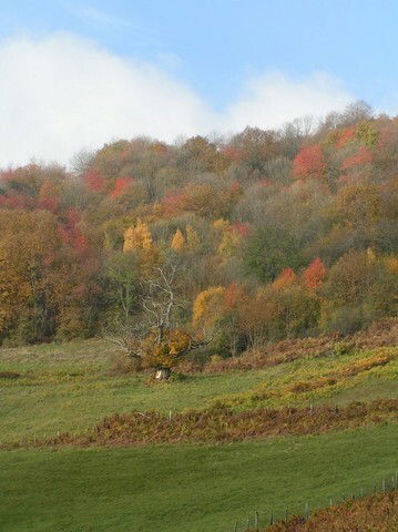 Camere Per Gli Ospiti Beaujeu 38998
