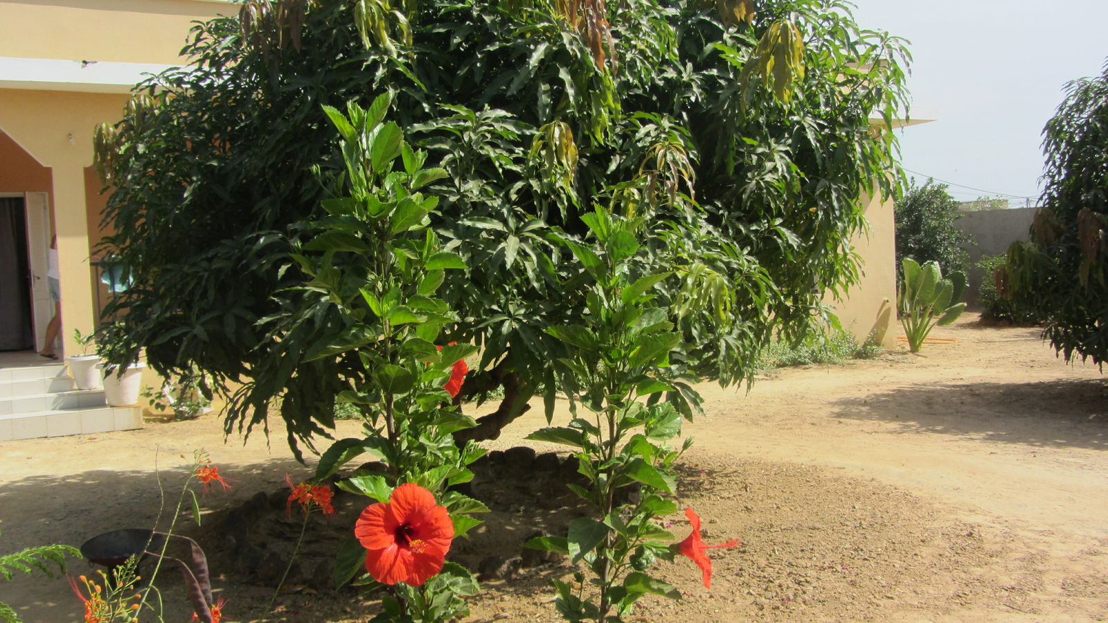 Famiglia La Somone 130082