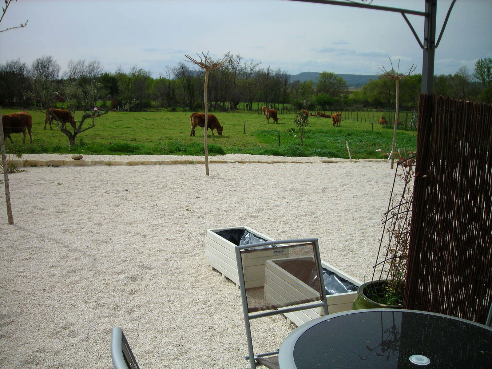 Camere Per Gli Ospiti Salinelles 71110