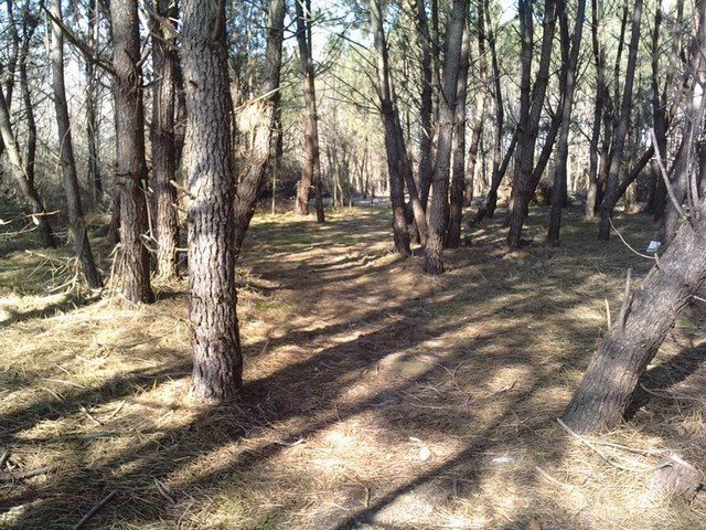 Camere Per Gli Ospiti Bergerac 36596