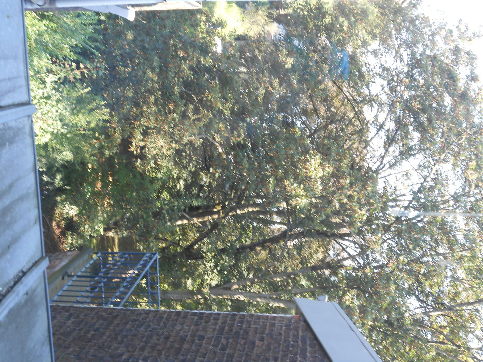 Collocazione Liège 174866