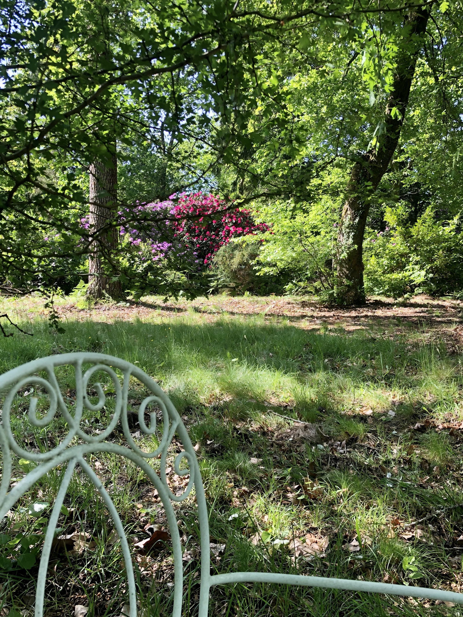 Famiglia Castets 239995