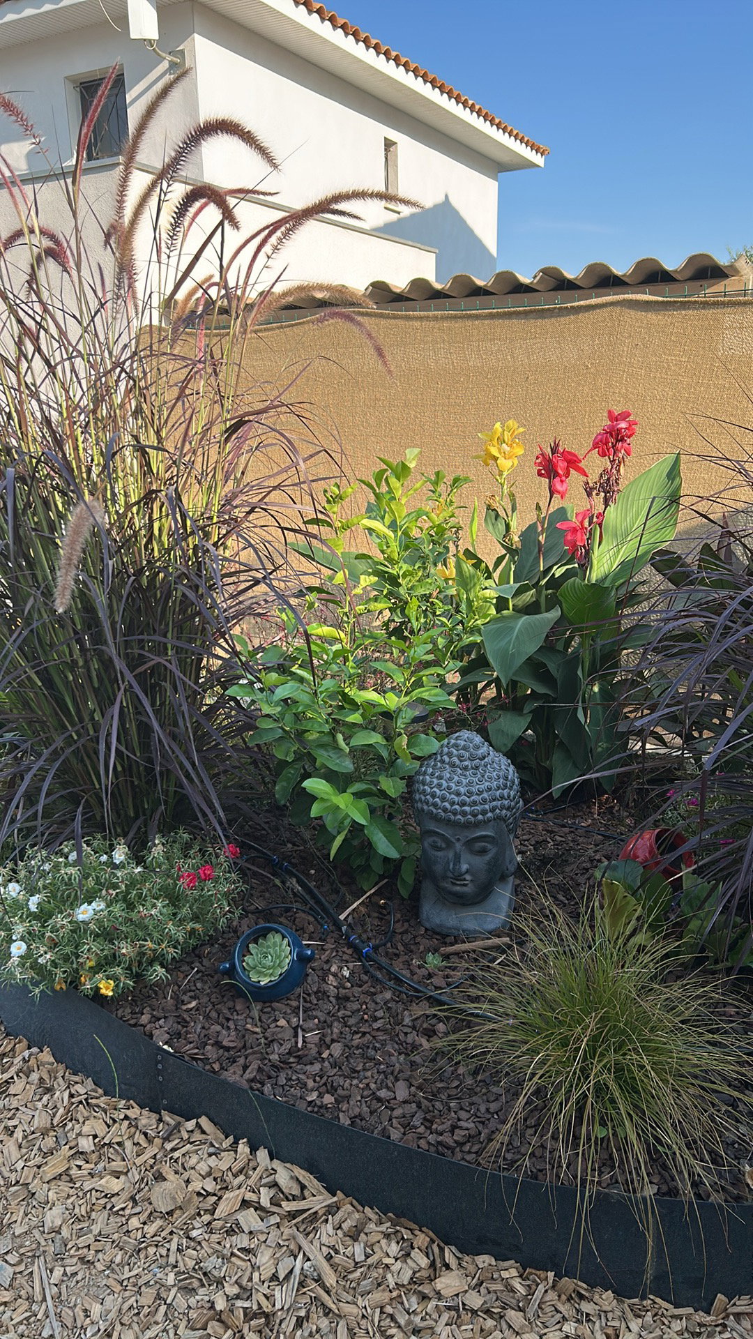 Homestay Saint-Jean-de-Védas 600880