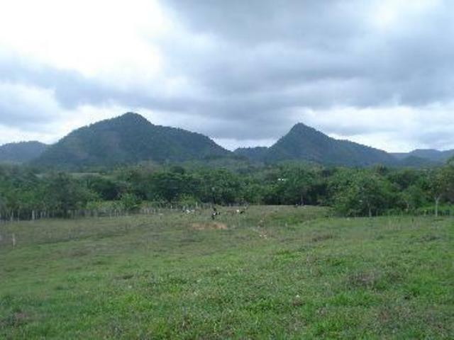 Homestay El Seibo 25077