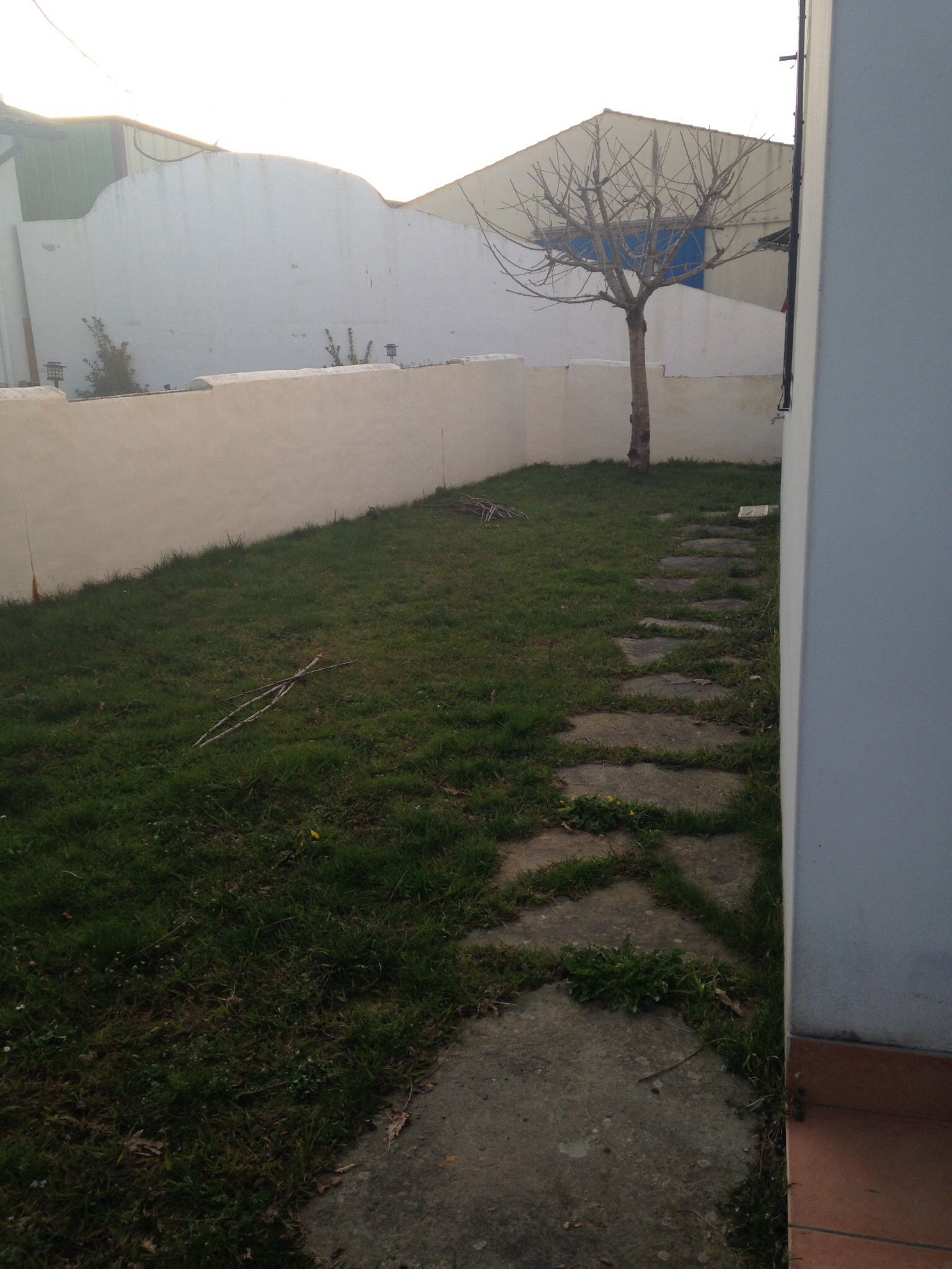 Logement Entier Urrugne 119056