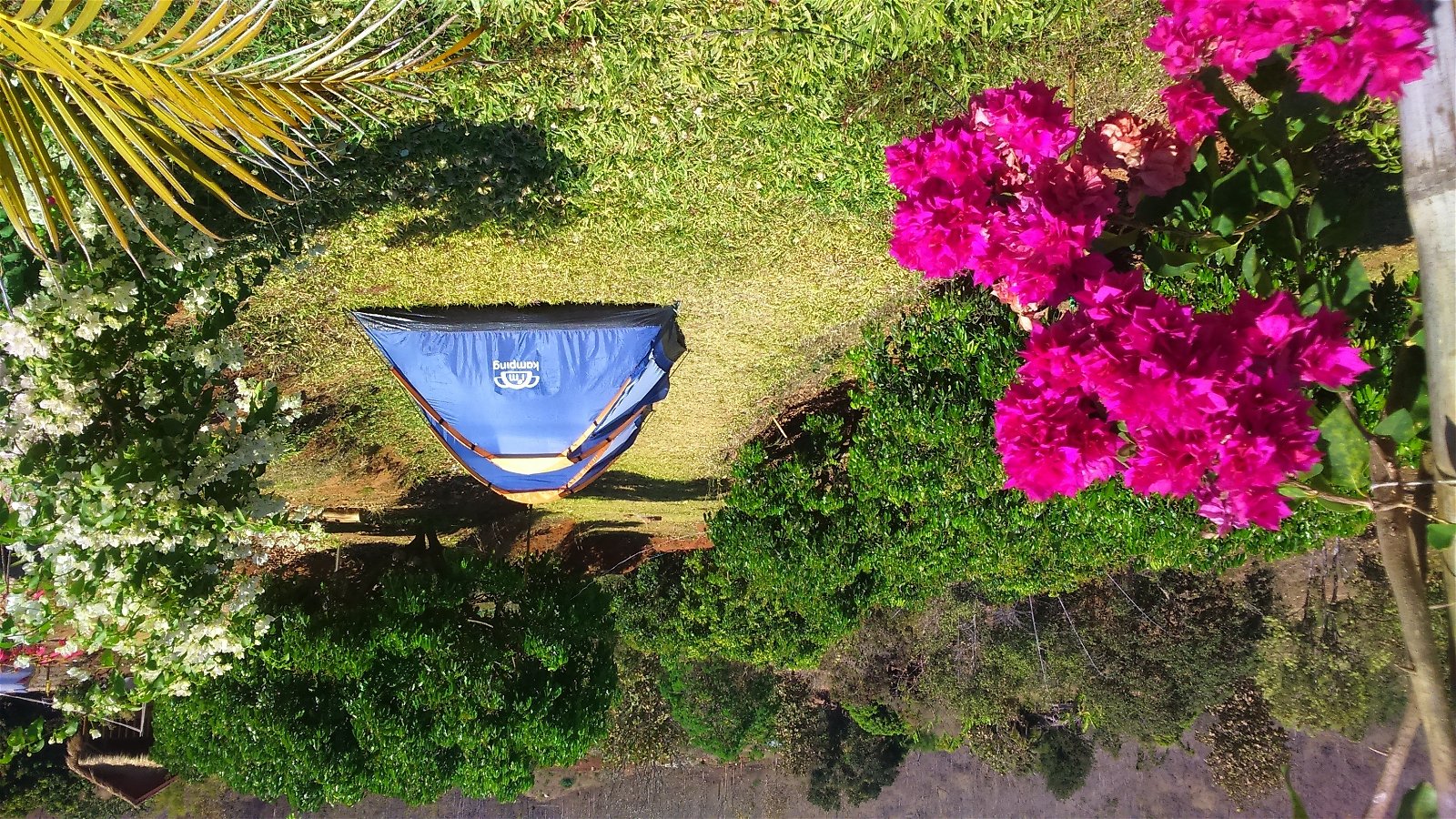 Onafhankelijke Studio Chiang Mai 149663