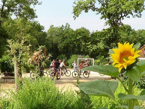 Logement Entier Saint-Antonin-Noble-Val 102425-3