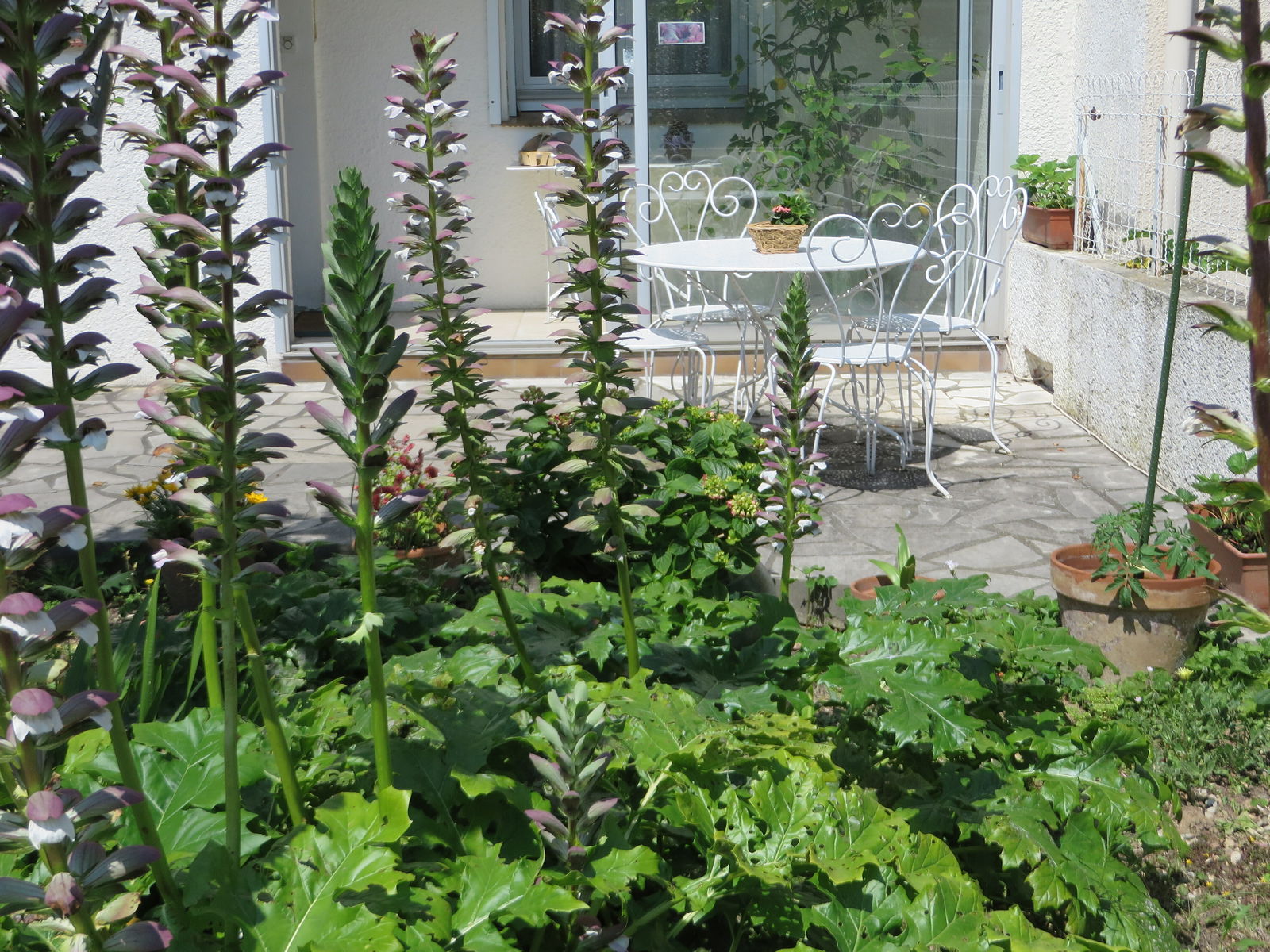 Oberoende Studio Trèbes 141053