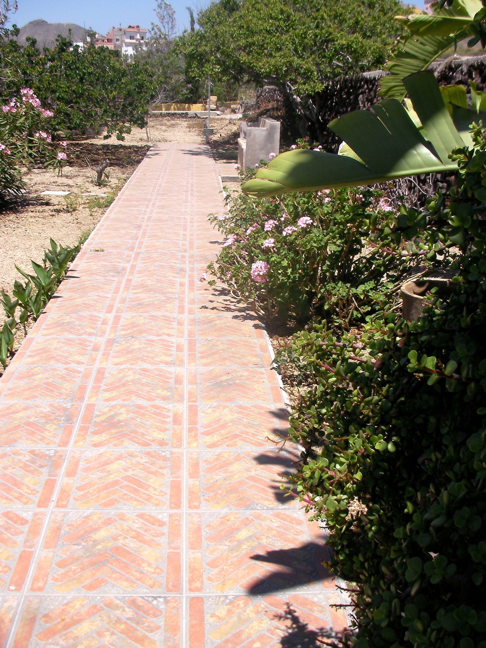 Homestay San Miguel 170432