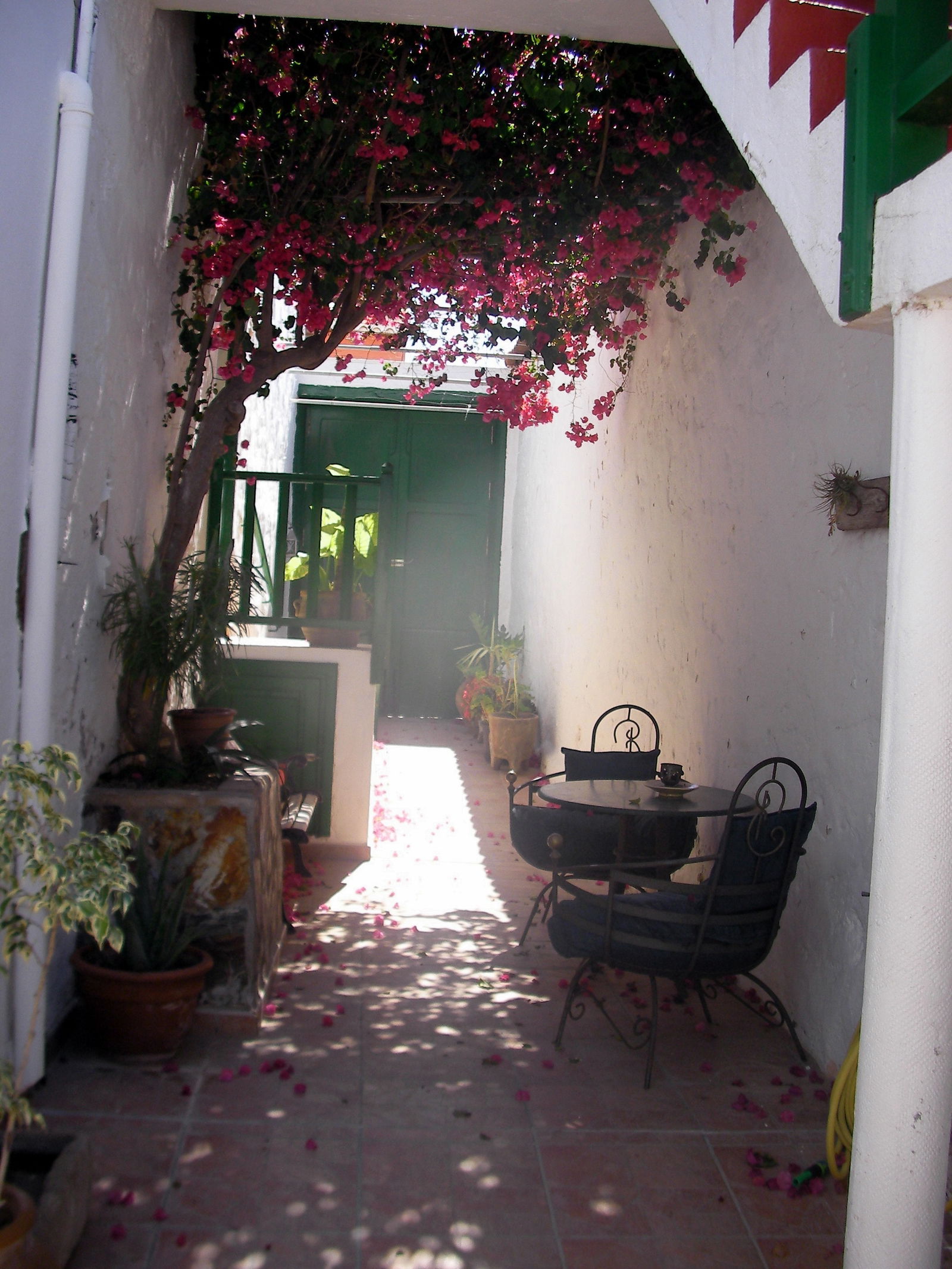 Gastgezin San Miguel 170432